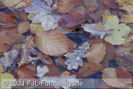 Bild-Nr.: 2102104