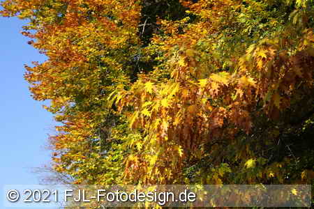 Bild-Nr.: 2102106
