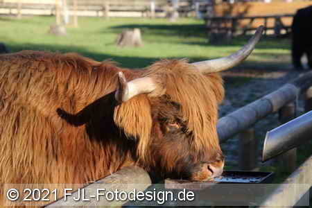 Bild-Nr.: 2102114