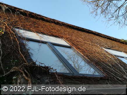 Bild-Nr.: 2200624
