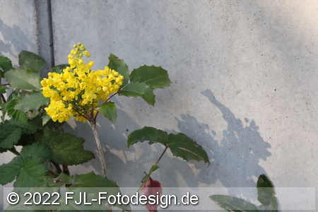 Bild-Nr.: 2200910