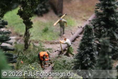 Bild-Nr.: 2303475