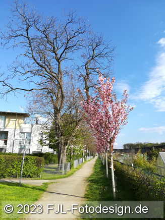 Bild-Nr.: 2306206