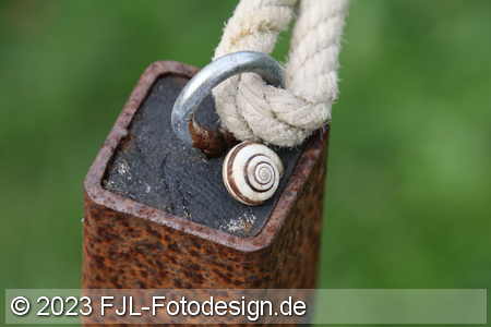 Bild-Nr.: 2307904
