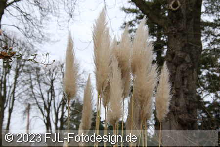 Bild-Nr.: 2310703