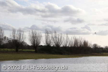 Bild-Nr.: 2310707