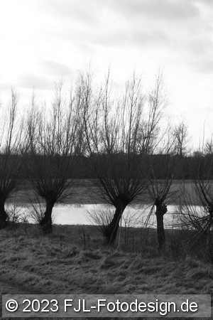 Bild-Nr.: 2310709