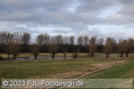 Bild-Nr.: 2310710