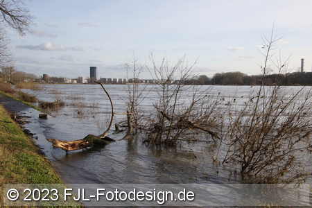 Bild-Nr.: 2310715