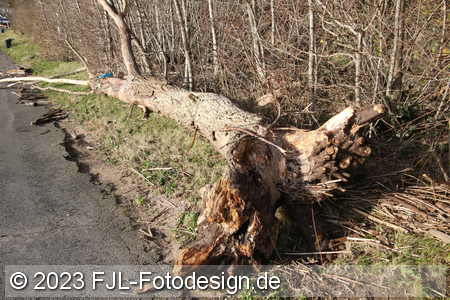 Bild-Nr.: 2310718