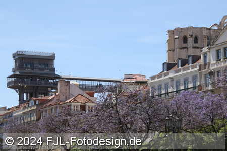 Bild-Nr.: 2402762