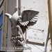 Bild-Nr./Picture No.: 2402748