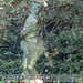 Bild-Nr./Picture No.: 2403314