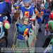 Bild-Nr./Picture No.: 2500906