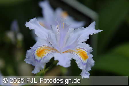 Bild-Nr.: 2502458