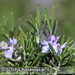 Bild-Nr./Picture No.: 2502408