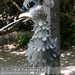 Bild-Nr./Picture No.: 2502411