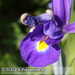 Bild-Nr./Picture No.: 2502415