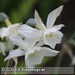 Bild-Nr./Picture No.: 2502460