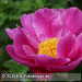 Bild-Nr./Picture No.: 2502513