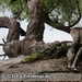 Bild-Nr./Picture No.: 2502517
