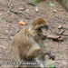 Bild-Nr./Picture No.: 2503044