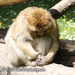 Bild-Nr./Picture No.: 2503070