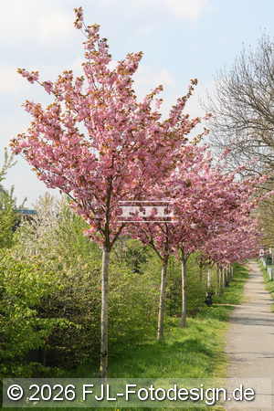 Bild-Nr.: 2601821
