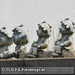 Bild-Nr./Picture No.: 2601807