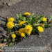 Bild-Nr./Picture No.: 2601808