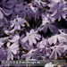 Bild-Nr./Picture No.: 2601810