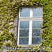 Bild-Nr./Picture No.: 2601813