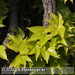 Bild-Nr./Picture No.: 2601815