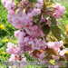 Bild-Nr./Picture No.: 2601822