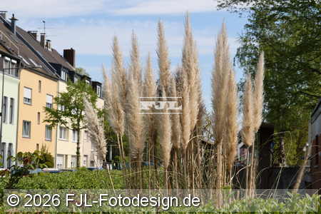 Bild-Nr.: 2601904