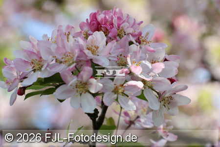 Bild-Nr.: 2601911
