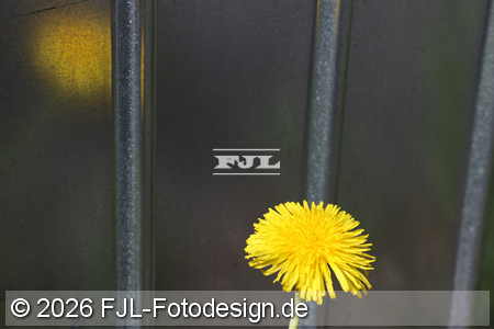 Bild-Nr.: 2601914