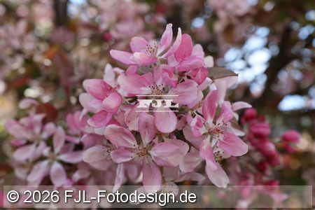 Bild-Nr.: 2601922