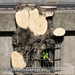 Bild-Nr./Picture No.: 2601901