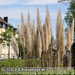 Bild-Nr./Picture No.: 2601903