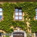 Bild-Nr./Picture No.: 2601904