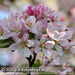 Bild-Nr./Picture No.: 2601910