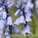 Bild-Nr./Picture No.: 2601912