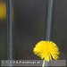 Bild-Nr./Picture No.: 2601913