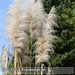 Bild-Nr./Picture No.: 2601915