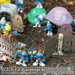 Bild-Nr./Picture No.: 2601916