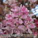 Bild-Nr./Picture No.: 2601921
