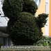 Bild-Nr./Picture No.: 2601922
