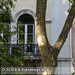 Bild-Nr./Picture No.: 2602050