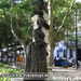 Bild-Nr./Picture No.: 2602051